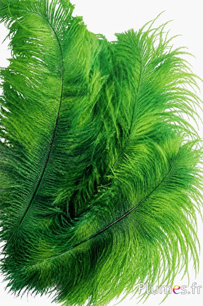 Struisvogel - 30-40 cm - groen-appelgroen